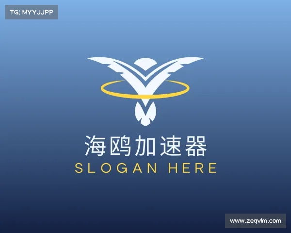 认识海鸥加速器